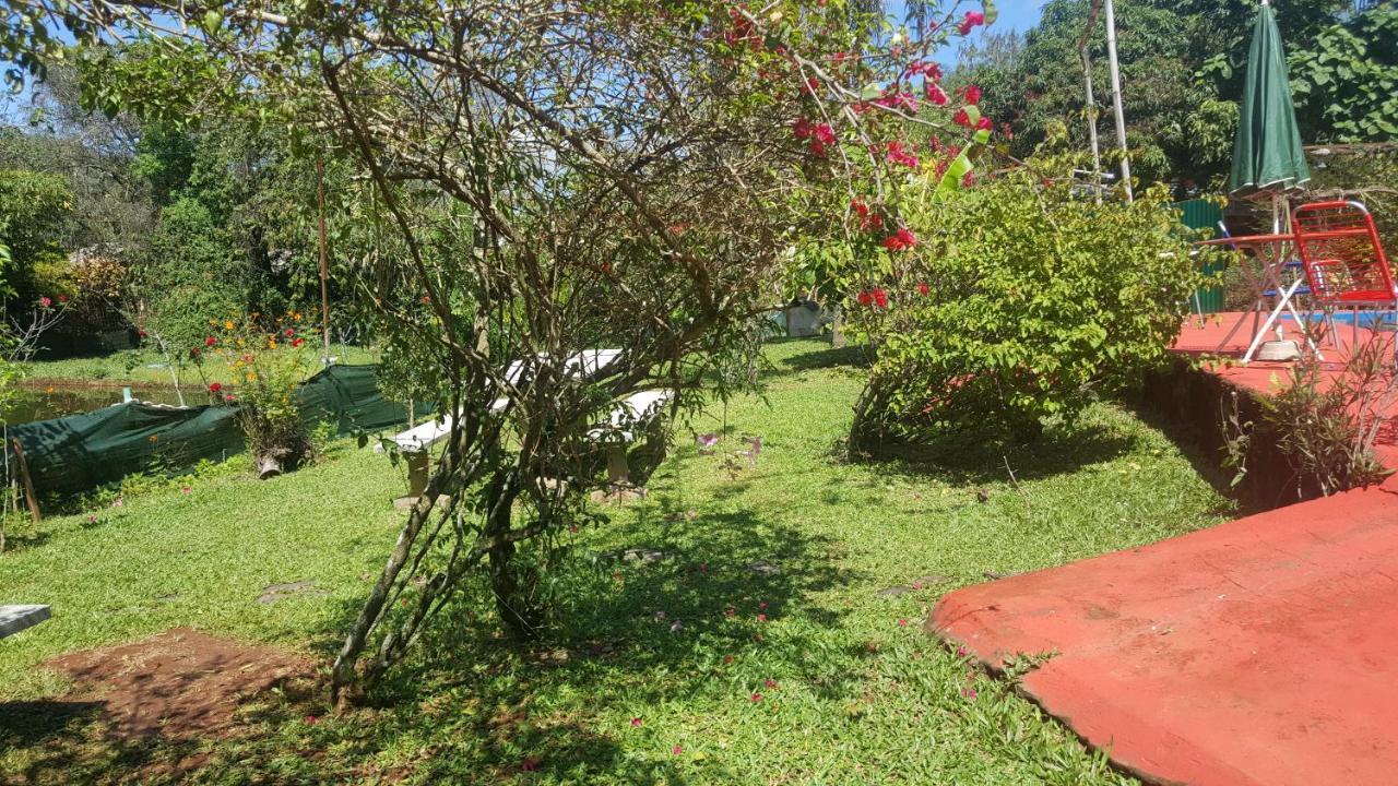 Hotel Y Residencial Amigos Puerto Iguazú Extérieur photo